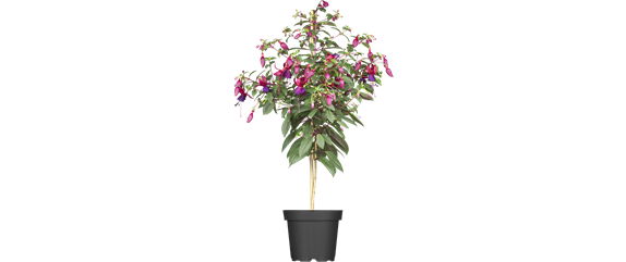 BLüHENDES MAKE OVER! 