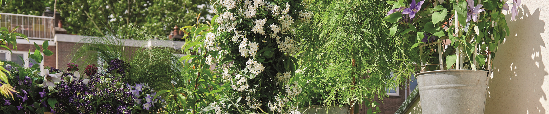 BLüHENDES MAKE OVER! 