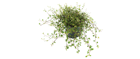 BLüHENDES MAKE OVER! 