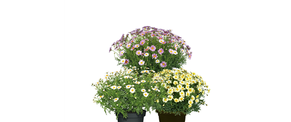 BLüHENDES MAKE OVER! 