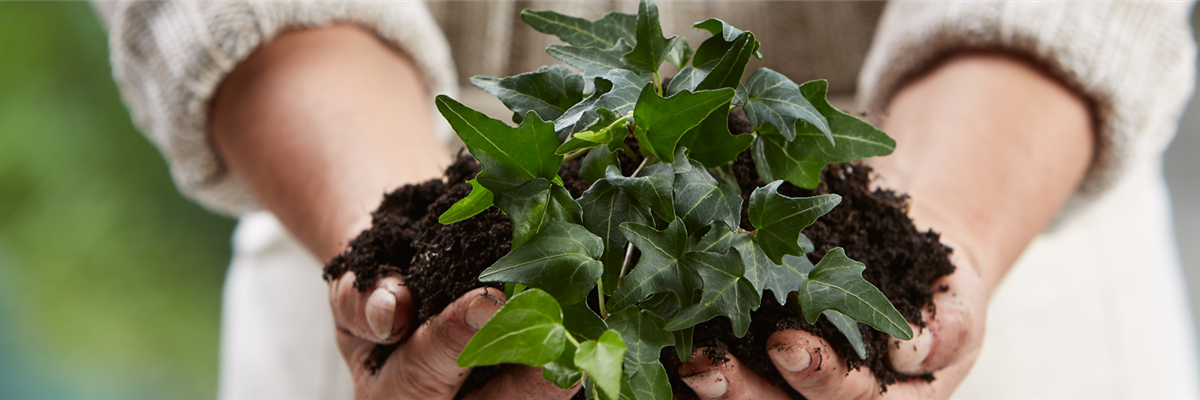 Verkäufer / Einzelhandelskaufmann (M/W/D) im Verkauf