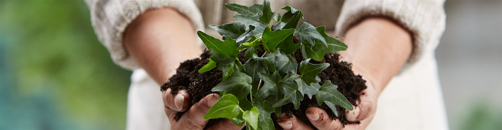 Verkäufer / Einzelhandelskaufmann (M/W/D) im Verkauf