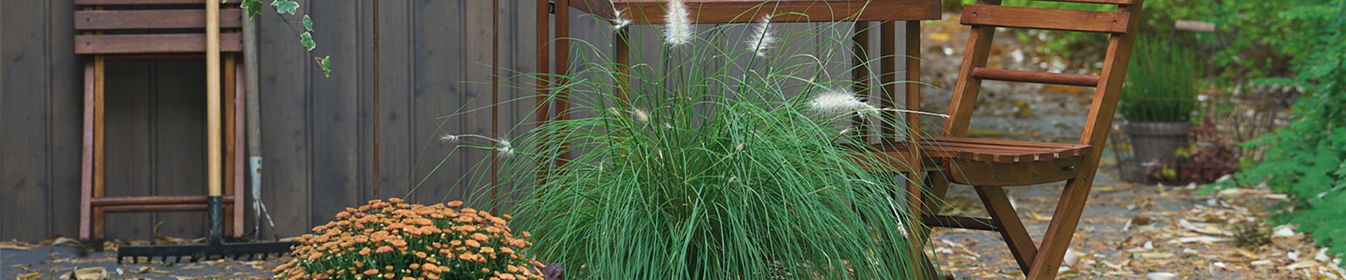 WARME FARBEN, STARKE WIRKUNG!