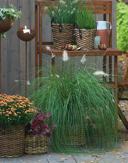 WARME FARBEN, STARKE WIRKUNG!