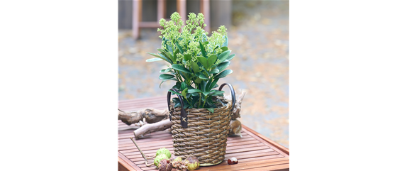 WARME FARBEN, STARKE WIRKUNG!