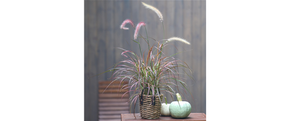 WARME FARBEN, STARKE WIRKUNG!