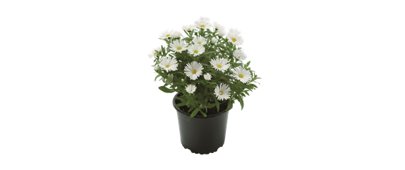 WARME FARBEN, STARKE WIRKUNG!