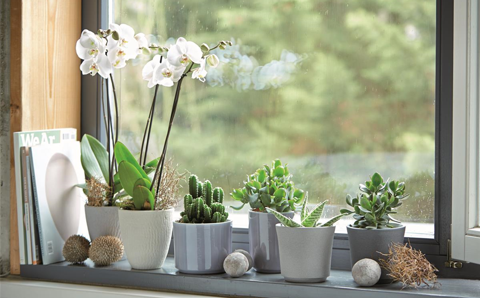 Pflanzgefässe - Hübsche Übertöpfe und Co.