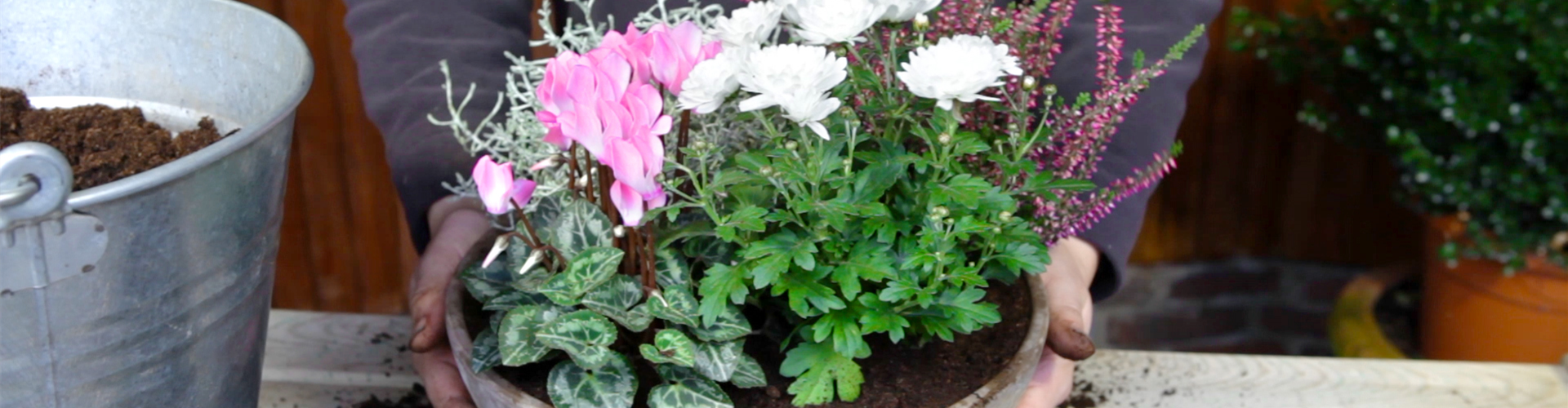 Blumenkübel - Herbstliche Bepflanzung (thumbnail)