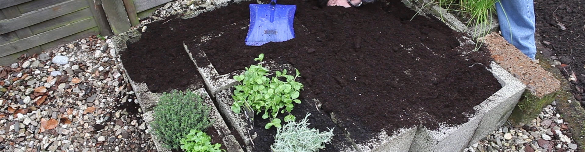 Kräuter - Einsetzen in Pflanzsteine (thumbnail)