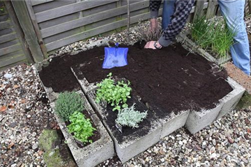 Kräuter - Einsetzen in Pflanzsteine