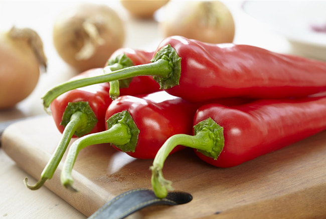 EIN GANZER GARTEN AUF DEM BALKON