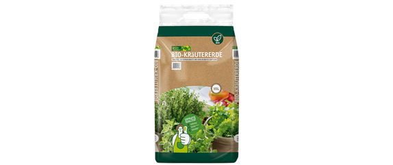 PFLANZE DER WOCHE: ROSMARIN