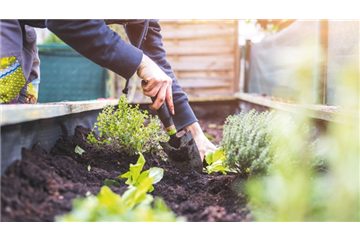 EIN HOCH AUF'S HOCHBEET! 